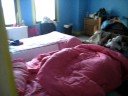 SHORELAND 724 DORM BABY