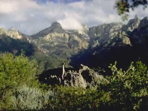 Yemen: Socotra