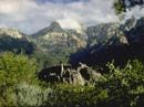 Yemen: Socotra