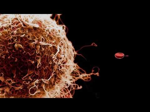 size comparison - This is my second animation. It consists of a size comparison between several familiar (and not so familiar) objects, starting from a single water molecule a...