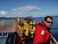 Whale Watching May 22 2008 2pm Mike oceanexplorations.com Whale Watching May 22 2008 2pm Mike oceanexplorations.com