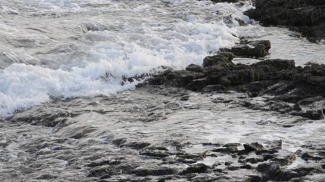 Video Galleries