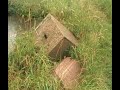 Horror Video Llanbeblig Caernarfon
