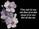 feliz 4 meses - Karina G. feliz 4 meses - Karina G.