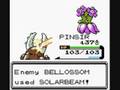 Pokemon Silver-Gym Leader Erika
