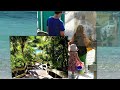 www.youtube.com Twitter follow: bit.ly Built in the mid 90s, The Wyndham Sugar Bay hugs a hillside on the northeast corner of St Thomas, and its well named. Sweet blue water views of St. John and the British Virgins are its greatest asset a Family Travel All Inclusive Almost all of its 290 comfortable, plantation style, rooms share the magic. The Sugar bay is NOT a destination for self-absorbed jet-setters, so come as you are. An easy mix of cultures and generations enjoys the three tiered pool and intimate beach, and if the mighty stairway from the water is too daunting, a regular shuttle carries you to and from the Towering main lobby. Dinners are modest, but Breakfasts are ample and fresh. Design your own omeletand drink in that view. Need to tone and pamper, head to the work-out room and Spa Special Kudos to the watchful and friendly Sugar Bay staff And gold stars to the resident Iguanas who delight and entertain, and have no idea they look like pre historic monsters.