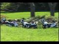 videos de Corn Maze