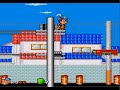 Squirrel King - Sega Genesis/Megadrive Game