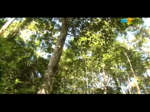 Fundo San José Eco Lodge - Video