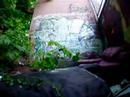 graffiti bombing tagging