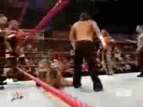 the hardys boys