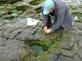 Mackerel Fishing Mackerel Fishing