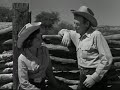 The Horse of the West