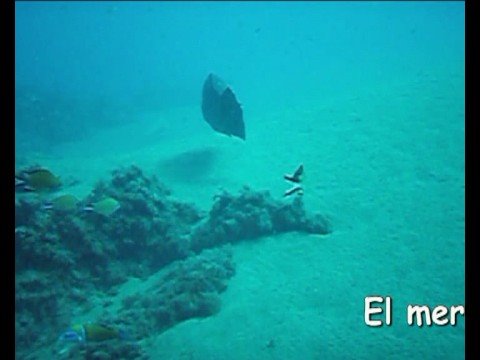 Imagen de previsualización de YouTube