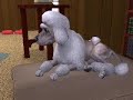 The Sims 2 Pets - 2 The Sims 2 Pets - 2