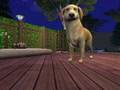 Assistir ao v�deo