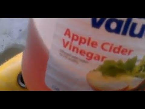 how to dissolve varnish in gas tank