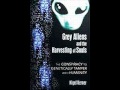 Grey Aliens and Soul Harvesting - Nigel Kerner, John Biggerstaff and Andrew Silverman