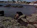 ZUSHI BEACH ZUSHI BEACH