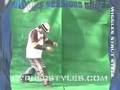 Mr Wiggles Session 3 Ticking Strobing Animation DVD