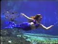 Weeki Wachee Show \"The Little Mermaid\" Weeki Wachee Show \"The Little Mermaid\"