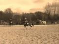 Horse-Ball Mixte