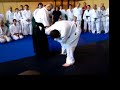 Sensei Matsuo in Zabrze, Poland(November,2007).