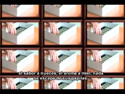 El cacao blanco piurano es parte de un documental francés sobre chocolate