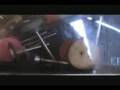 Re: Garden Shed From HELL ! - ADULTS ONLY !
