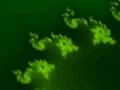 Fractal art - fractalgeneziss