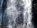 Agasthiar Falls