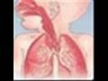 Full Flex - Asma - Pediatria