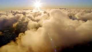 Passion & Purpose Discover the Real You