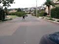 Freeridezinho