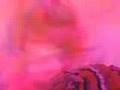 MGMT electric feel