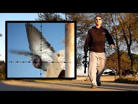 Rifle - For more hunting videos like this one visit http://www.youtube.com/user/EdgunUSA The Camera Mount I used to record through the scope can be found here: https...