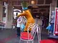 Mad Hatter Antics 