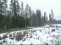 Svenske rally SS20 Remmen 2 WRC