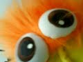 P�lsepoppigerne xD