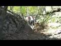 Join Orienteering