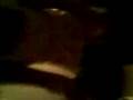 videos de köttbulle
