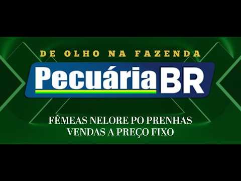 De Olho na Fazenda Pecuária BR | 27/02/2026