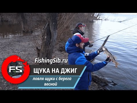 где в новосибирске ловить щуку с берега где в новосибирске ловить щуку с берега