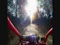 NORTH CENTRAL BUGGY on the cheese trail