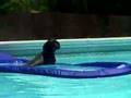 Zoe Myers' New Talent in the Swimming Pool