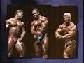 Flex Wheeler Random Mass Construction cuts by sourt Flex Wheeler Random Mass Construction cuts by sourt