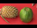 [Image:Youtube Video]