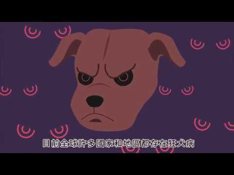 狂犬病的狂野