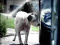 Comercial de Mazda – Perro