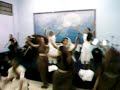 Musical